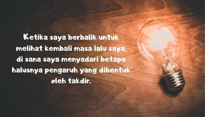 kata kata bijak nikola tesla